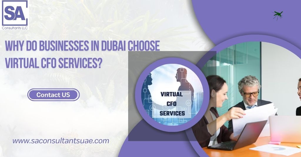 Virtual CFO Services Dubai providing powerful business growth solutions