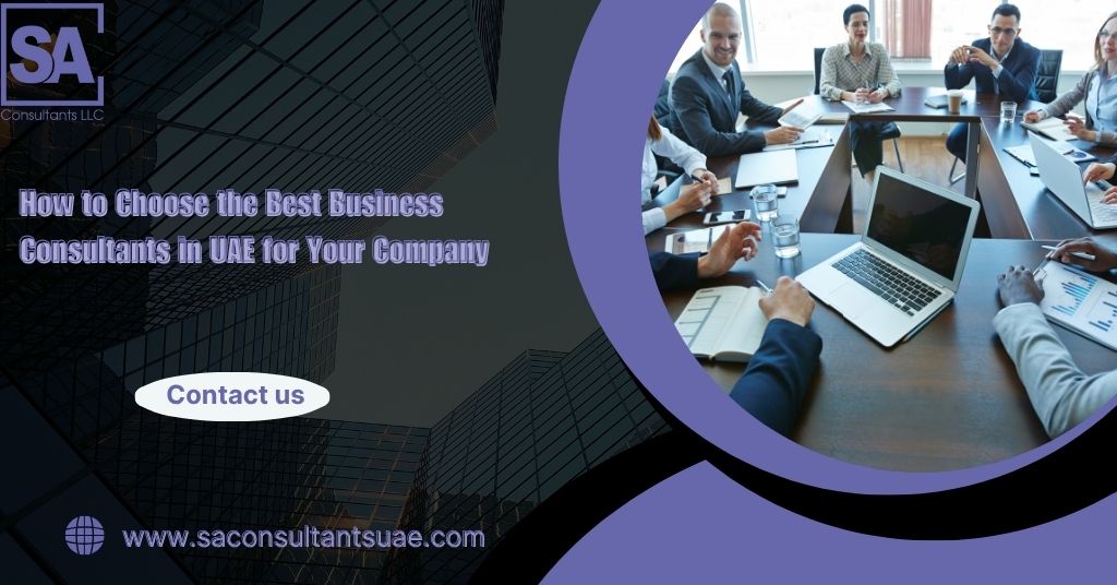 Professional business consultants in UAE discussing strategy in a modern office